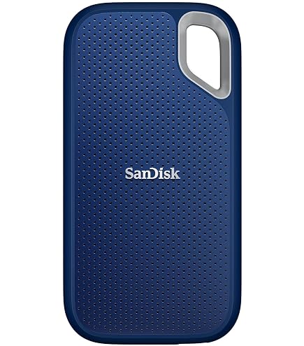 Amazon.com: SanDisk 1TB Extreme Go SSD : Electronics